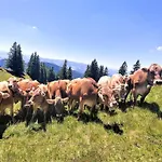 Am Schindelberglift * Oberstaufen