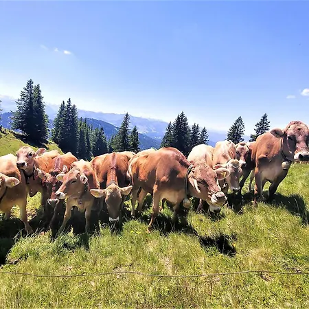 Am Schindelberglift * Oberstaufen